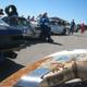 Illustration for article titled The Penalties Of The Gator-O-Rama 24 Hours Of LeMons